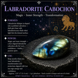 ♌ Leo - Zodiac Crystal Set