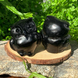 Crystal Animal Spirit Totems: Black Protection Agate Owl