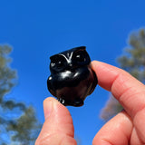Crystal Animal Spirit Totems: Black Protection Agate Owl