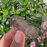 Super 7 (Item #2002)