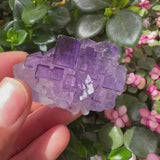 Purple Fluorite Freeform (Item #2001)