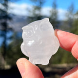 Crystal Animal Spirit Totems: Clear Quartz Owl