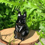 Crystal Animal Spirit Totems: Black Protection Agate Rabbit