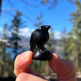 Crystal Animal Spirit Totems: Black Protection Agate Raven