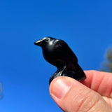 Crystal Animal Spirit Totems: Black Protection Agate Raven