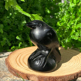 Crystal Animal Spirit Totems: Black Protection Agate Raven