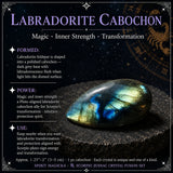 ♏Scorpio - Zodiac Crystal Set