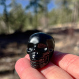 Crystal Spirit Totems: Black Protection Agate Skull