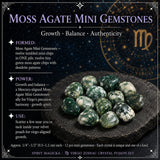 ♍ Virgo - Zodiac Crystal Set