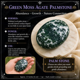 Green Moss Agate Palmstone